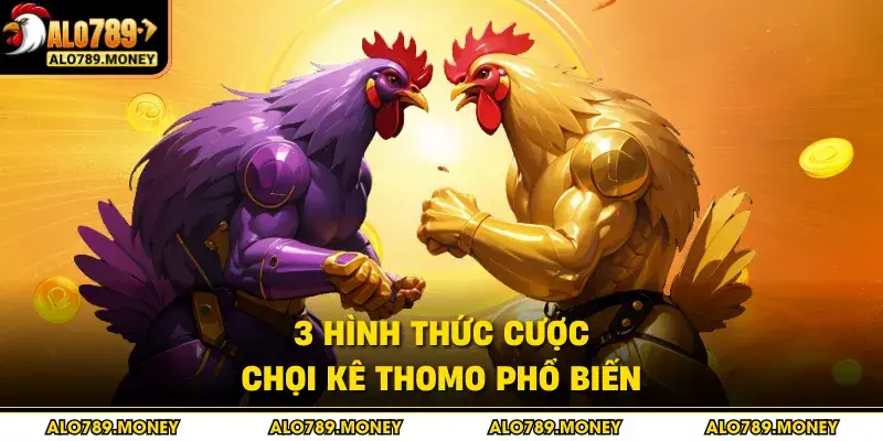 3 hình thức cược chọi kê Thomo phổ biến