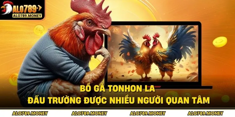 Bồ gà Tonhon là đấu trường được nhiều người quan tâm Bồ gà Tonhon là đấu trường được nhiều người quan tâm