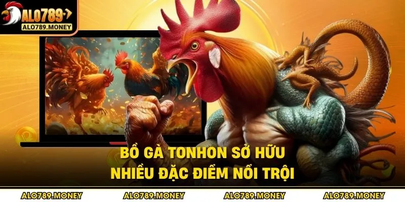Bồ gà Tonhon sở hữu nhiều đặc điểm nổi trội Bồ gà Tonhon sở hữu nhiều đặc điểm nổi trội