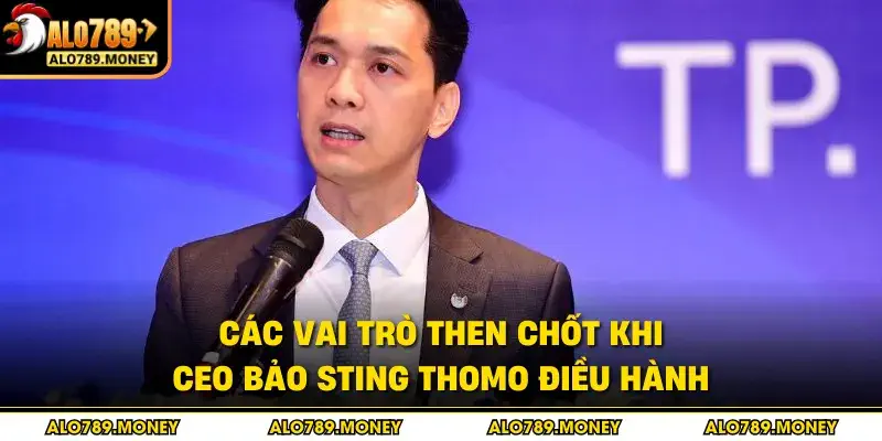 Các vai trò then chốt khi Ceo Bảo Sting Thomo điều hành Các vai trò then chốt khi Ceo Bảo Sting Thomo điều hành