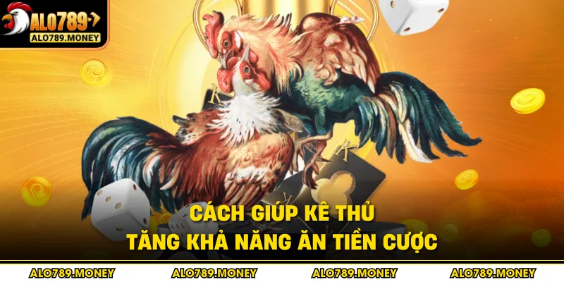Cách giúp kê thủ tăng khả năng ăn tiền cược