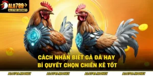Cách Nhận Biết Gà Đá Hay - Bí Quyết Chọn Chiến Kê Tốt