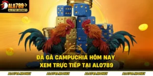 Đá Gà Campuchia Hôm Nay - Xem Trực Tiếp Tại ALO789