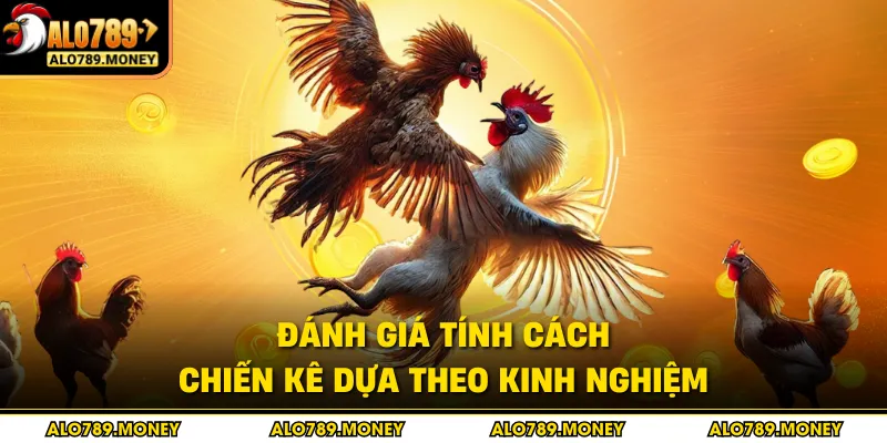 Đánh giá tính cách chiến kê dựa theo kinh nghiệm Đánh giá tính cách chiến kê dựa theo kinh nghiệm