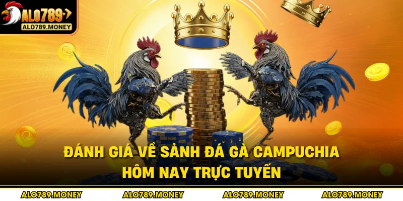 Đánh giá về sảnh đá gà Campuchia hôm nay trực tuyến Đánh giá về sảnh đá gà Campuchia hôm nay trực tuyến