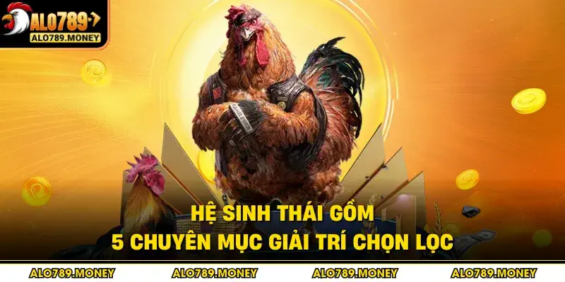 Hệ sinh thái gồm 5 chuyên mục giải trí chọn lọc Hệ sinh thái gồm 5 chuyên mục giải trí chọn lọc