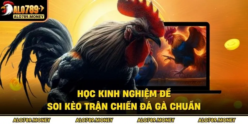 Học kinh nghiệm để soi kèo trận chiến đá gà chuẩn Học kinh nghiệm để soi kèo trận chiến đá gà chuẩn