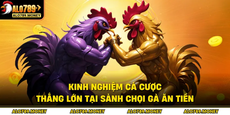Kinh nghiệm cá cược thắng lớn tại sảnh chọi gà ăn tiền Kinh nghiệm cá cược thắng lớn tại sảnh chọi gà ăn tiền