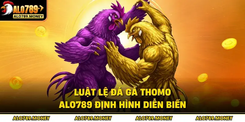 Luật lệ đá gà Thomo ALO789 định hình diễn biến