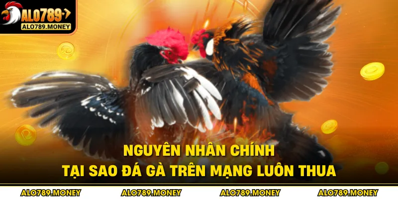 Nguyên nhân chính tại sao đá gà trên mạng luôn thua