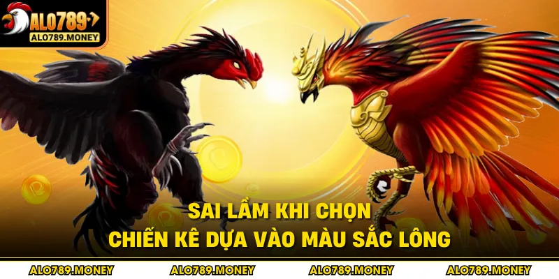 Sai lầm khi chọn chiến kê dựa vào màu sắc lông Sai lầm khi chọn chiến kê dựa vào màu sắc lông