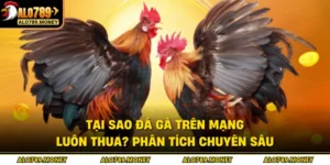 Tại Sao Đá Gà Trên Mạng Luôn Thua? Phân Tích Chuyên Sâu