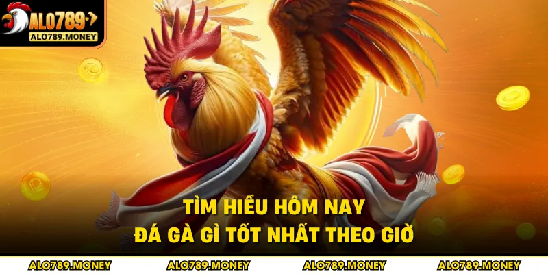 Tìm hiểu hôm nay đá gà gì tốt nhất theo giờ