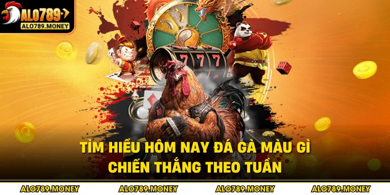 Tìm hiểu hôm nay đá gà màu gì chiến thắng theo tuần Tìm hiểu hôm nay đá gà màu gì chiến thắng theo tuần