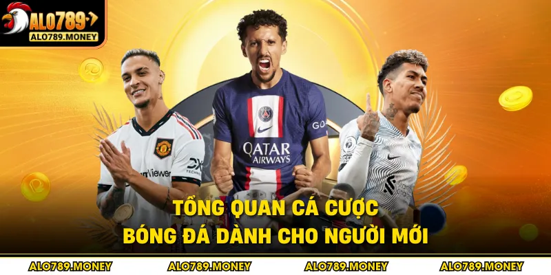Tổng quan cá cược bóng đá dành cho người mới Tổng quan cá cược bóng đá dành cho người mới