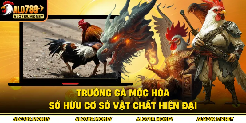 Trường gà Mộc Hóa sở hữu cơ sở vật chất hiện đại Trường gà Mộc Hóa sở hữu cơ sở vật chất hiện đại